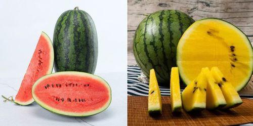 吃瓜网xmg9.cn,带你领略网络娱乐新风向