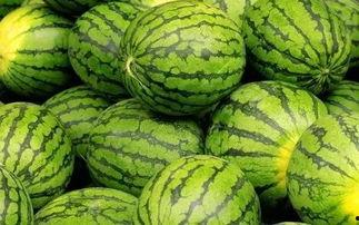 吃瓜网每天吃瓜