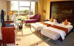 吃瓜娱乐杭州椰子宾馆,揭秘网红酒店背后的吃瓜娱乐故事